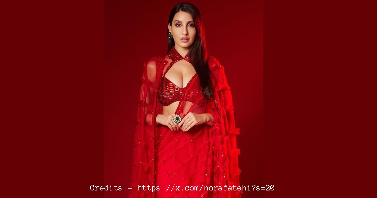 Nora Fatehi income