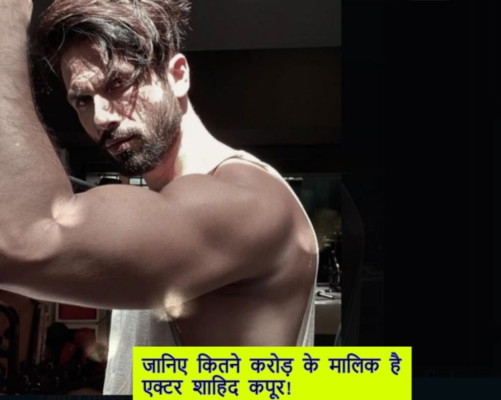 Shahid Kapoor Net Worth 2024